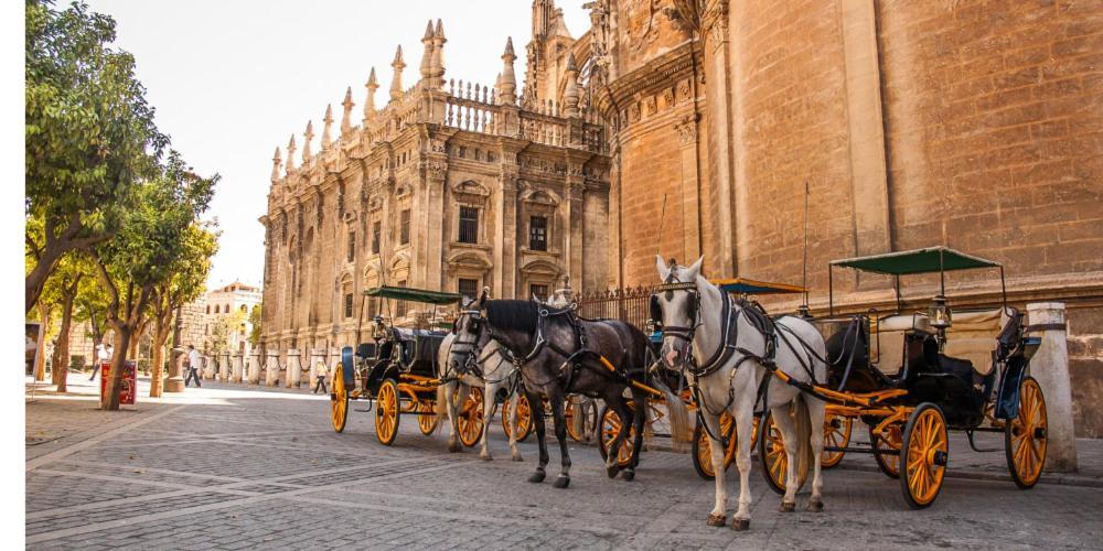 Chic Casa Cathedral At Calle Fresca 2-Bedroom Apartment In Malaga City Center Buitenkant foto